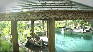 Very hot blonde milf bangs by the pool